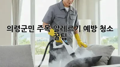 🏡 의령군민 주목! 알레르기 예방 청소 꿀팁 🍯